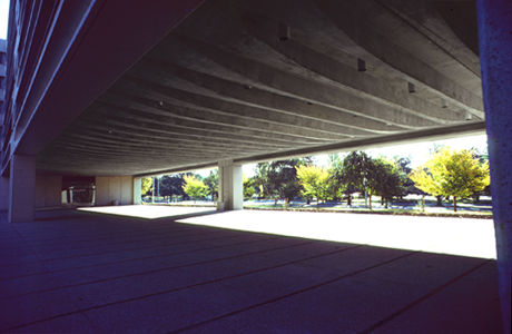 Underside of tapered floor units by P. L. Nervi