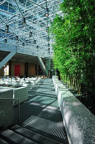 Upper Lobby under Refurbished Clear Glass Roof with Natural Bamboo Vegetation Wall