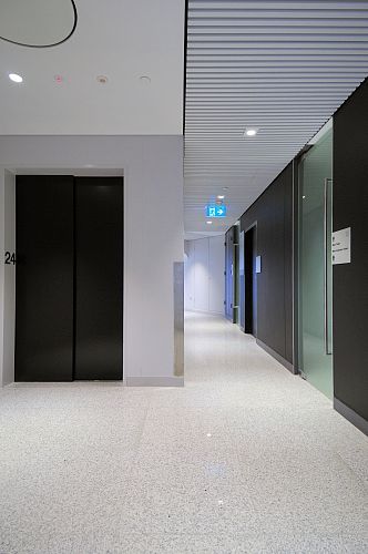 New Services Lobby and Corridor